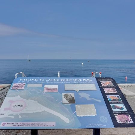 Catalina Island Duplex - Steps To Beach And Pier! Avalon Exterior foto